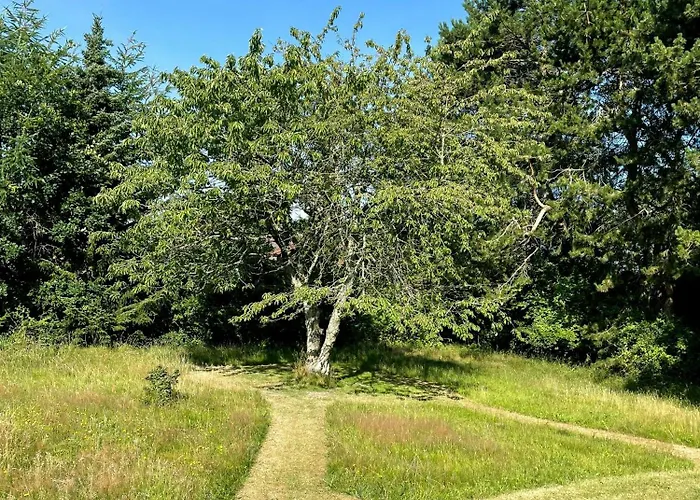 Idyllic Forest House Near Rorvig Beach And Harbour *