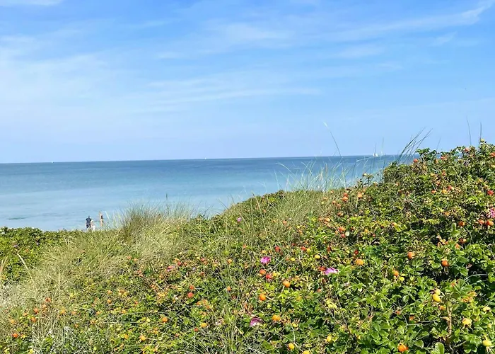 Vakantiehuis Idyllic Forest House Near Rorvig Beach And Harbour
